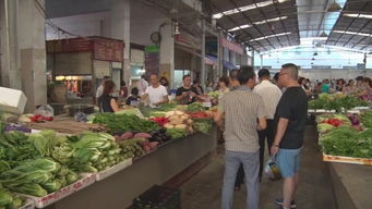 南部重拳出擊 嚴(yán)查食品藥品商家，15起食用農(nóng)產(chǎn)品批發(fā)案件移交公安機(jī)關(guān)